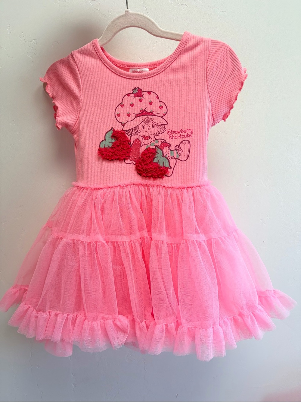 Girls Pink Strawberry Shortcake Tulle Dress